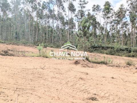 Terreno Misto  Venda em Caldas de São Jorge e Pigeiros,Santa Maria da Feira