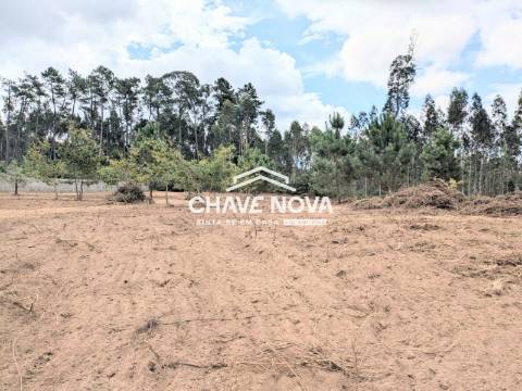 Terreno Misto  Venda em Caldas de São Jorge e Pigeiros,Santa Maria da Feira