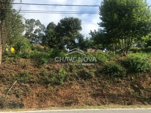 Lote de Terreno  Venda em Veade, Gagos e Molares,Celorico de Basto