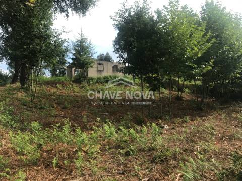 Lote de Terreno  Venda em Veade, Gagos e Molares,Celorico de Basto