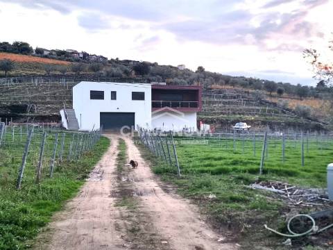 Moradia Isolada T3 Venda em Barcos e Santa Leocádia,Tabuaço
