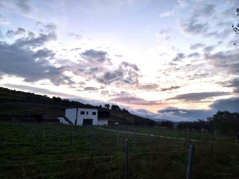 Moradia Isolada T3 Venda em Barcos e Santa Leocádia,Tabuaço