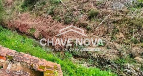 Quintinha T2 Venda em Canelas e Fermelã,Estarreja