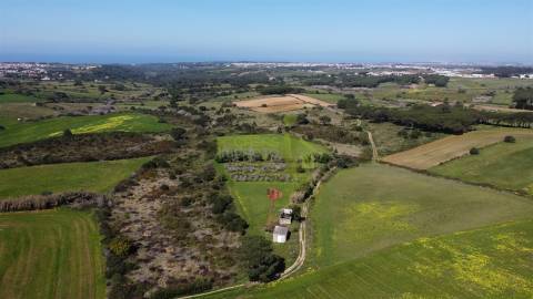 Terreno Rústico com Vista Mar e Serra – Sintra