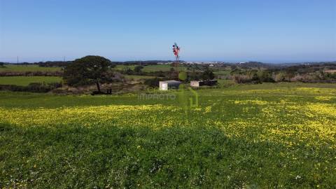 Terreno Rústico com Vista Mar e Serra – Sintra