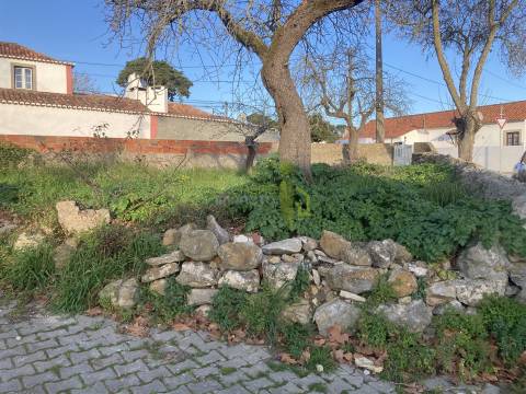 Terreno Rústico em Sintra