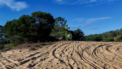 Terreno Rústico com 2360 m2 em Janas, Azenhas do Mar