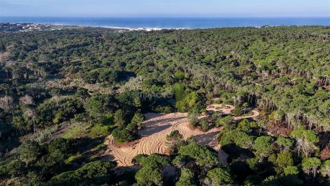 Terreno Rútico com 2600 m2 em Ribeira de Janas, Colares