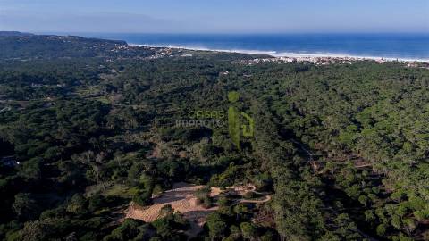 Terreno Rútico com 2600 m2 em Ribeira de Janas, Colares