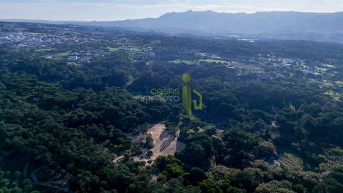 Terreno Rútico com 2600 m2 em Ribeira de Janas, Colares