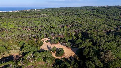 Terreno Rútico com 2600 m2 em Ribeira de Janas, Colares