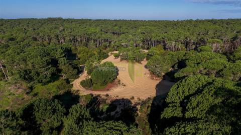 Terreno Rútico com 2600 m2 em Ribeira de Janas, Colares
