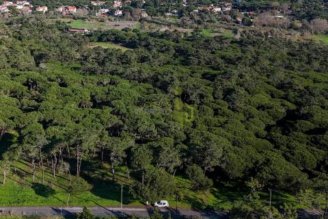 Terreno Rústico com 4.600 m2 em Areais, Almoçageme - Colares