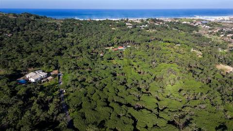 Terreno Rústico com 4.600 m2 em Areais, Almoçageme - Colares