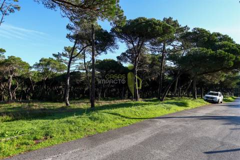 Terreno Rústico com 4.600 m2 em Areais, Almoçageme - Colares