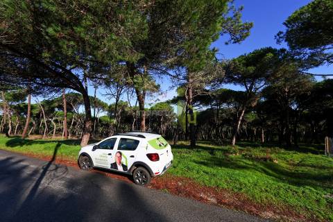 Terreno Rústico com 4.600 m2 em Areais, Almoçageme - Colares