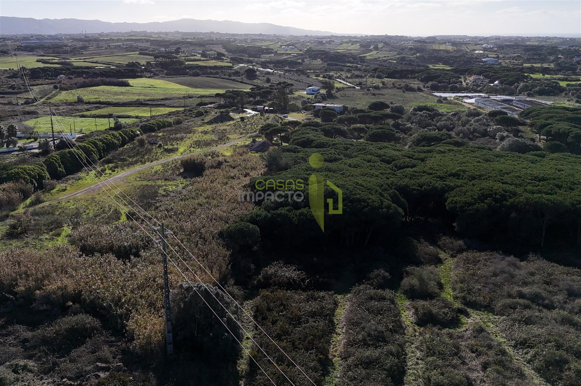 Terreno Rústico com 4.680m2 a venda na Terrugem
