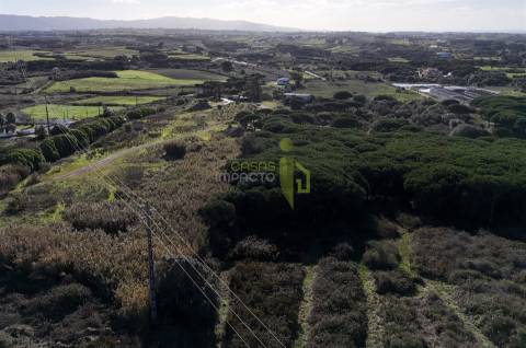 Terreno Rústico com 4.680m2 a venda na Terrugem