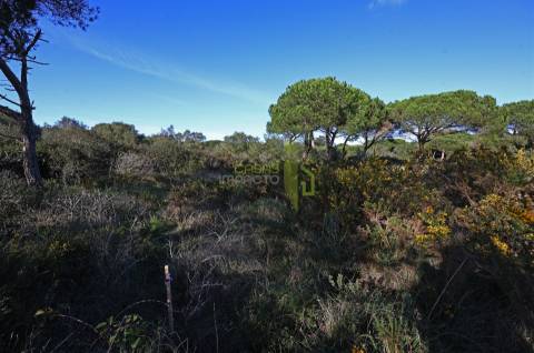 Terreno Rústico com 4.680m2 a venda na Terrugem
