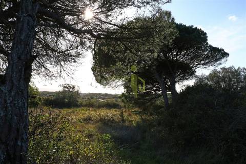 Terreno Rústico com 4.680m2 a venda na Terrugem