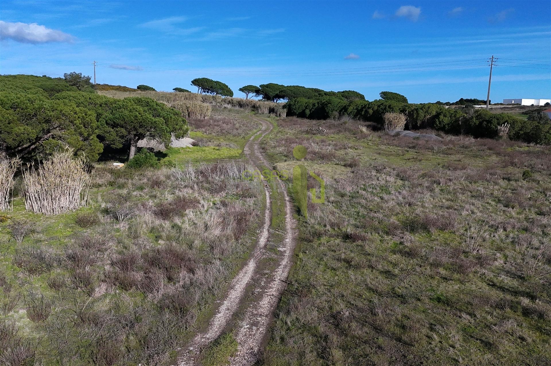 Terreno Rústico com 9640m2 na Terrugem