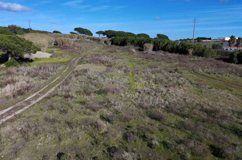 Terreno Rústico com 9640m2 na Terrugem