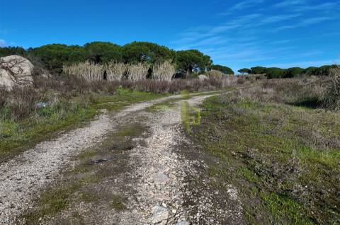 Terreno Rústico com 9640m2 na Terrugem