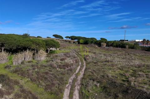 Terreno Rústico com 9640m2 na Terrugem