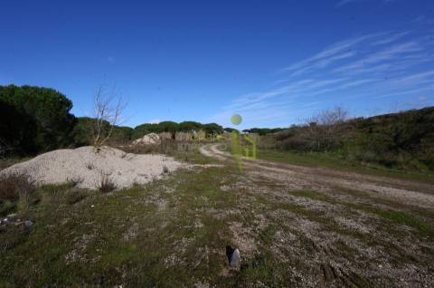 Terreno Rústico com 9640m2 na Terrugem