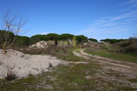 Terreno Rústico com 9640m2 na Terrugem