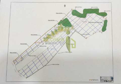 Terreno Rústico com 9640m2 na Terrugem