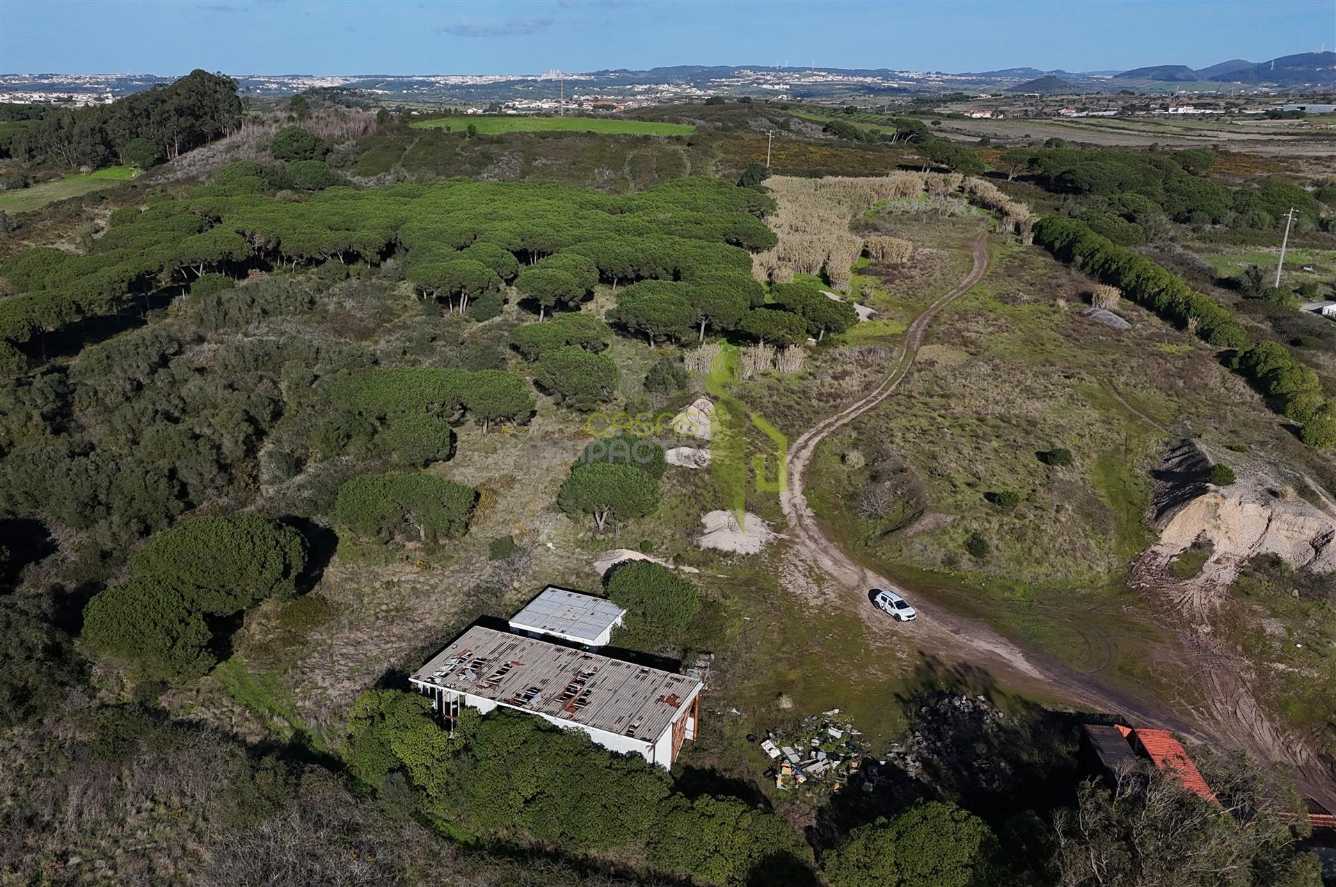 Terreno Rústico com 15.240m2, para venda na Terrugem
