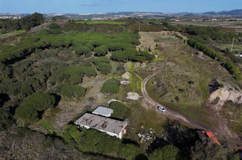 Terreno Rústico com 15.240m2, para venda na Terrugem