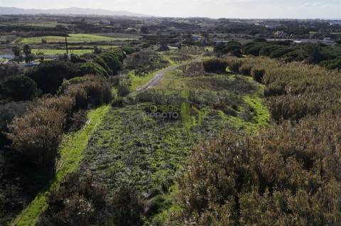 Terreno Rústico com 15.240m2, para venda na Terrugem