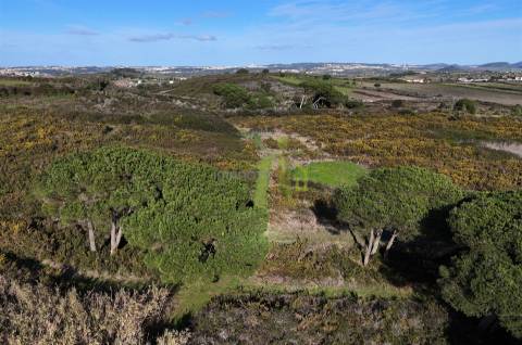 Terreno Rústico com 19.160m2 a venda na Terrugem