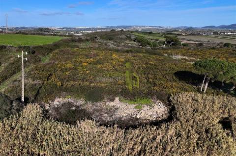 Terreno Rústico com 19.160m2 a venda na Terrugem