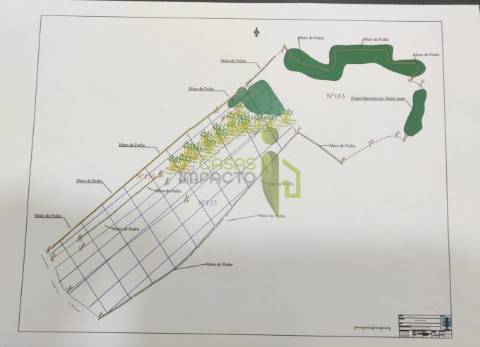 Terreno Rústico com 19.160m2 a venda na Terrugem