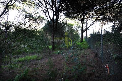 Terreno Rústico com 3.400m2 a venda em Areais, Colares