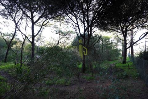 Terreno Rústico com 3.400m2 a venda em Areais, Colares