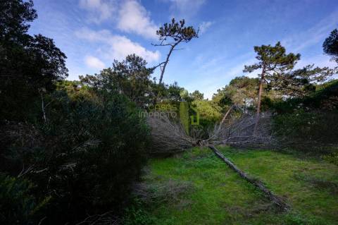 Terreno Rústico com 3.400m2 a venda em Areais, Colares