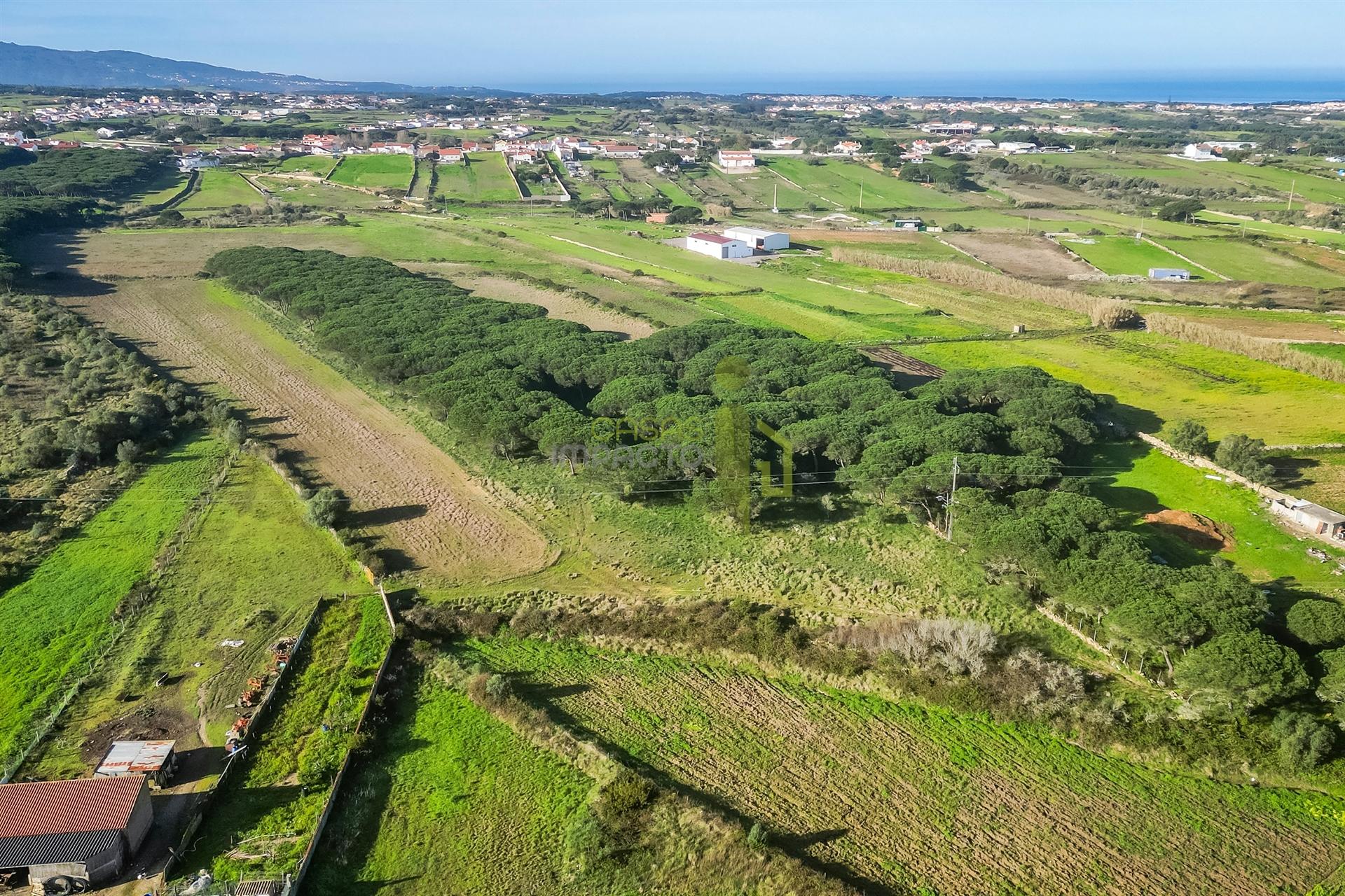Terreno Rústico com  7.120 m² em Sintra