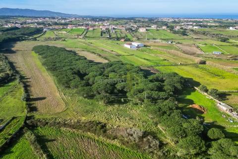 Terreno Rústico com  7.120 m² em Sintra