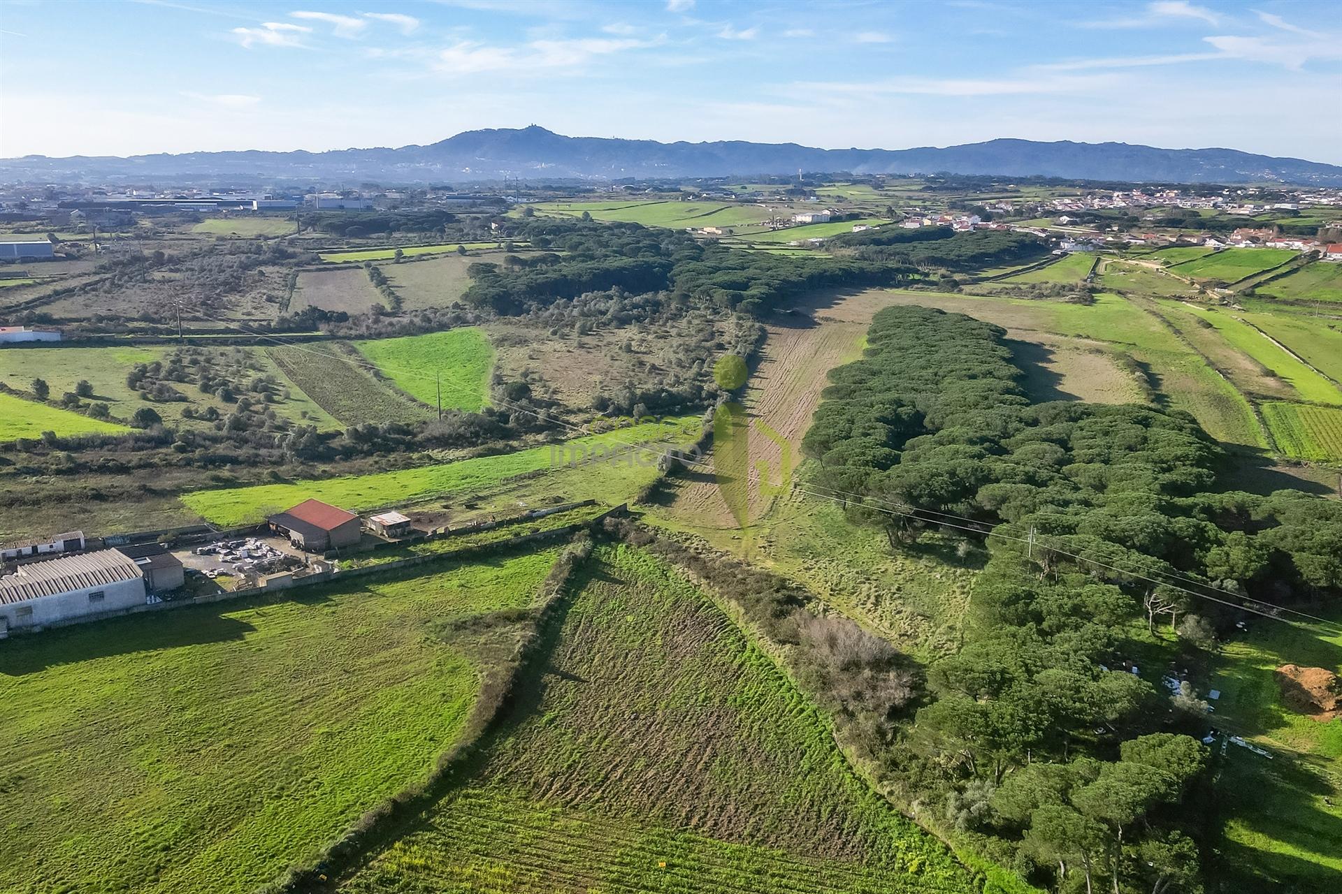 Terreno Rústico com 6 Hectares | São João das Lampas e Terrugem – Sintra