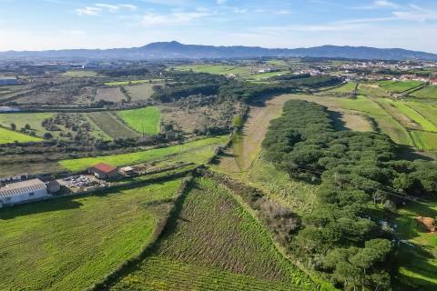 Terreno Rústico com 6 Hectares | São João das Lampas e Terrugem – Sintra