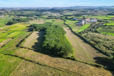 Terreno Rústico com 6 Hectares | São João das Lampas e Terrugem – Sintra