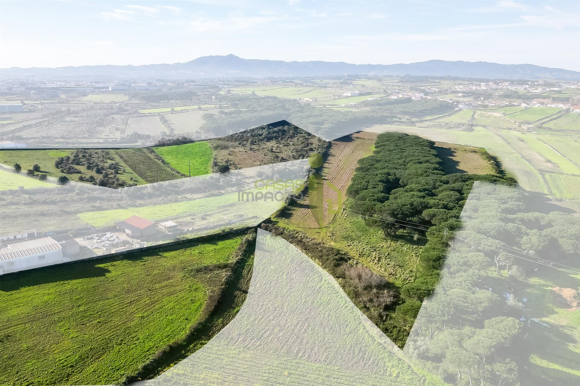 Terreno Rústico com 6 Hectares | São João das Lampas e Terrugem – Sintra