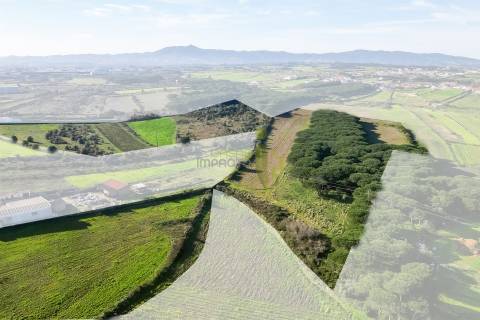Terreno Rústico com 6 Hectares | São João das Lampas e Terrugem – Sintra