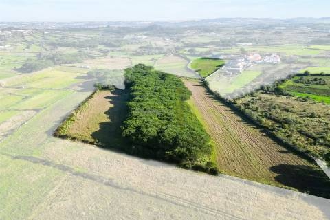 Terreno Rústico com 6 Hectares | São João das Lampas e Terrugem – Sintra