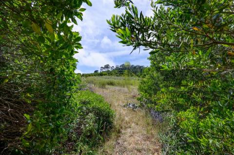 Terreno Rustico com 3.000m2 em Colares