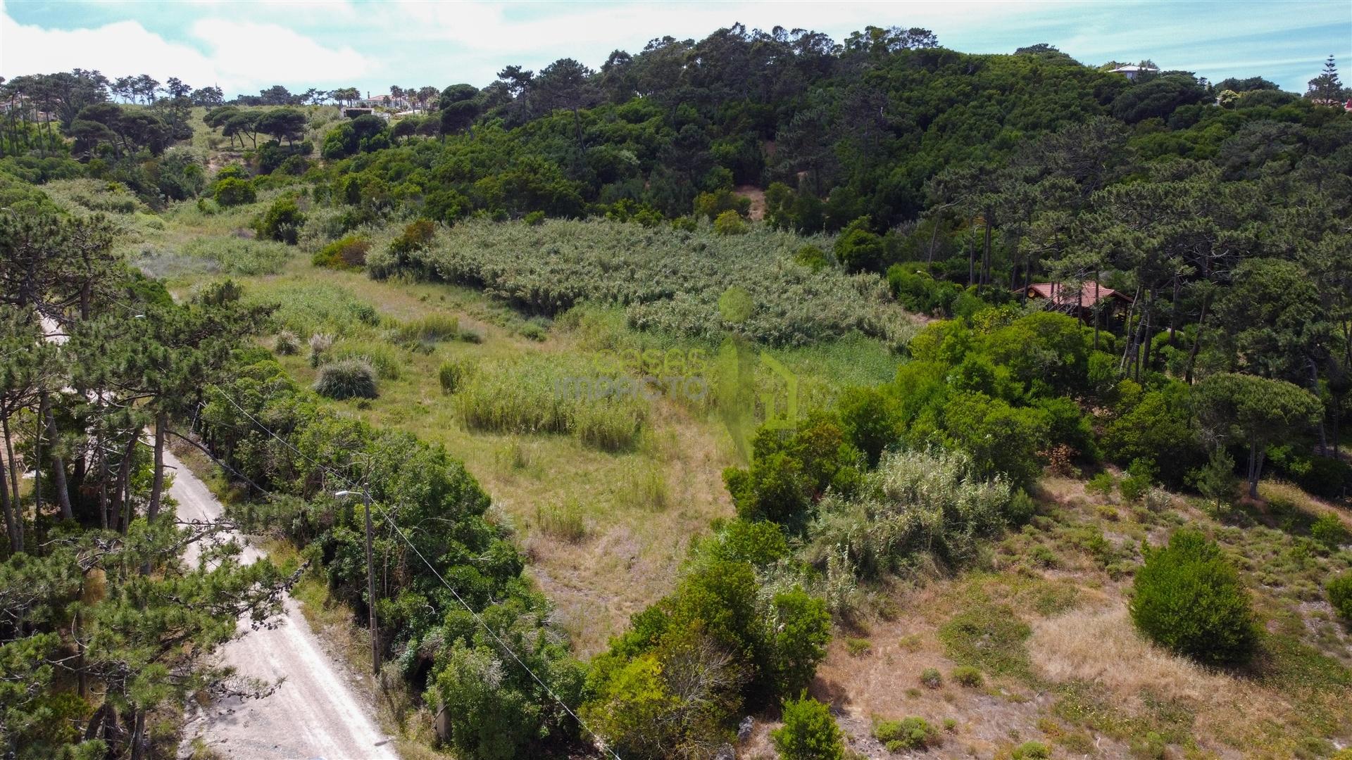 Terreno Rustico com 3.000m2 em Colares